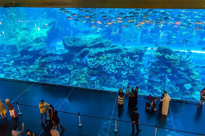 世界一の広さを誇るドバイモール内の水族館「DubaiAquarium」は世界最大のアクリルパネルの水槽でギネス世界記録を達成したことでも有名です!!ホットホリデ