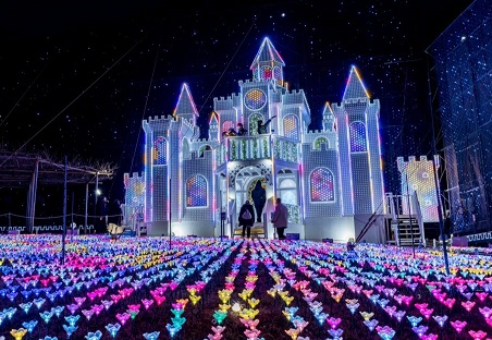 全国ランキング第1位にて日本三大イルミネーションに認定された、あしかがフラワーパーク『光の花の庭～FlowerFantasy2023～』が2023年10月18日 水 よりスタート！株式会社足利フラワーリゾートのプレスリリース