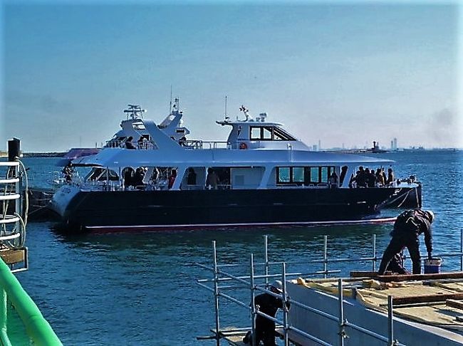 猿島の見どころ まるでラピュタの森！フェリーで行く、無人島 猿島の楽しみ方週末大人旅