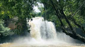 ２回目のバンコク 世界自然遺産カオヤイ国立公園 象乗りトレッキング