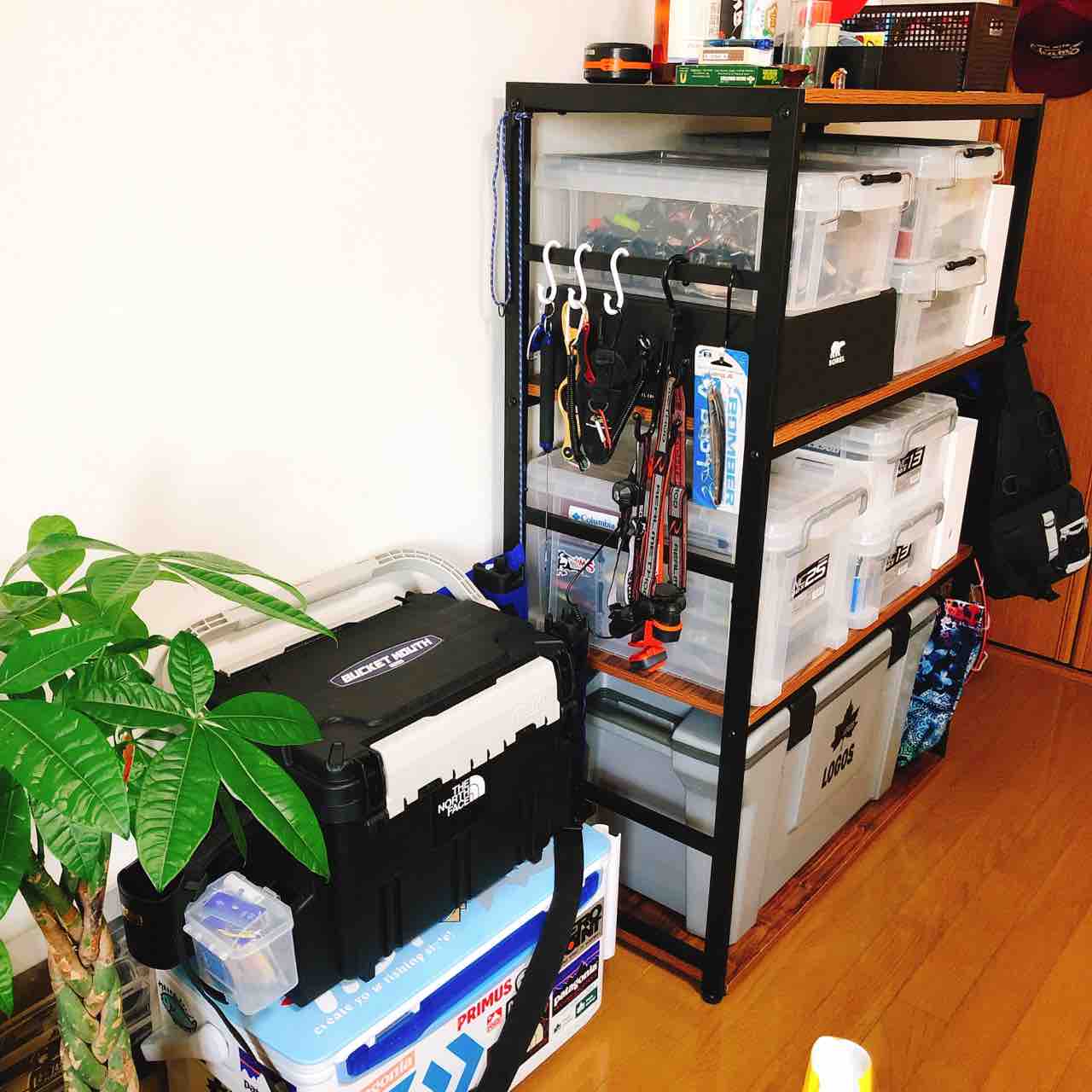 釣具の整理はラックの購入から!? 「釣り部屋の整理」にオススメのシェルフジギング魂