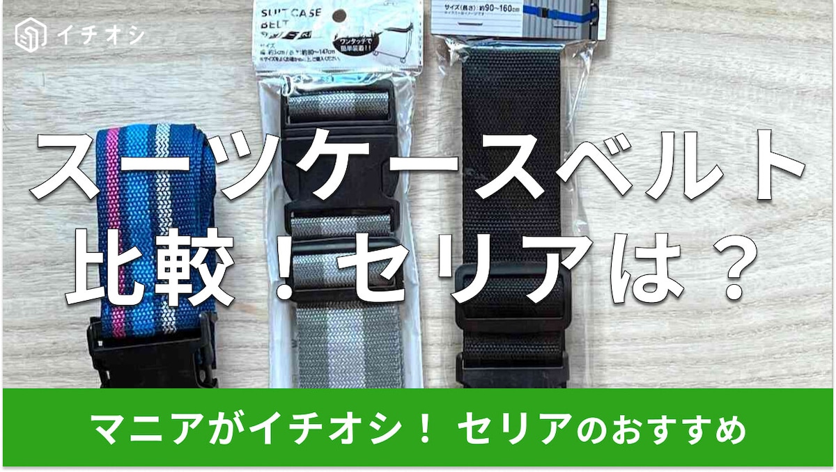 セリア旅行メッシュケースLサイズ衣類用3個セットトラベルポーチ