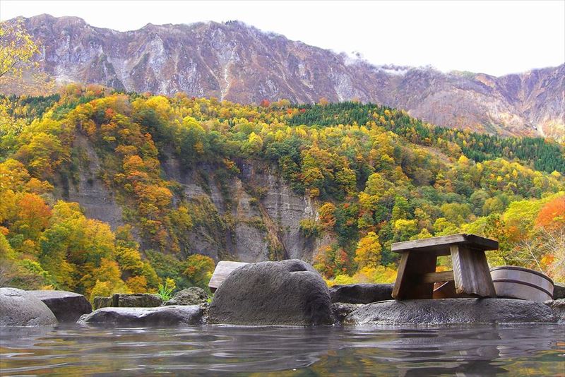 クチコミ : 並木温泉 ゆの郷