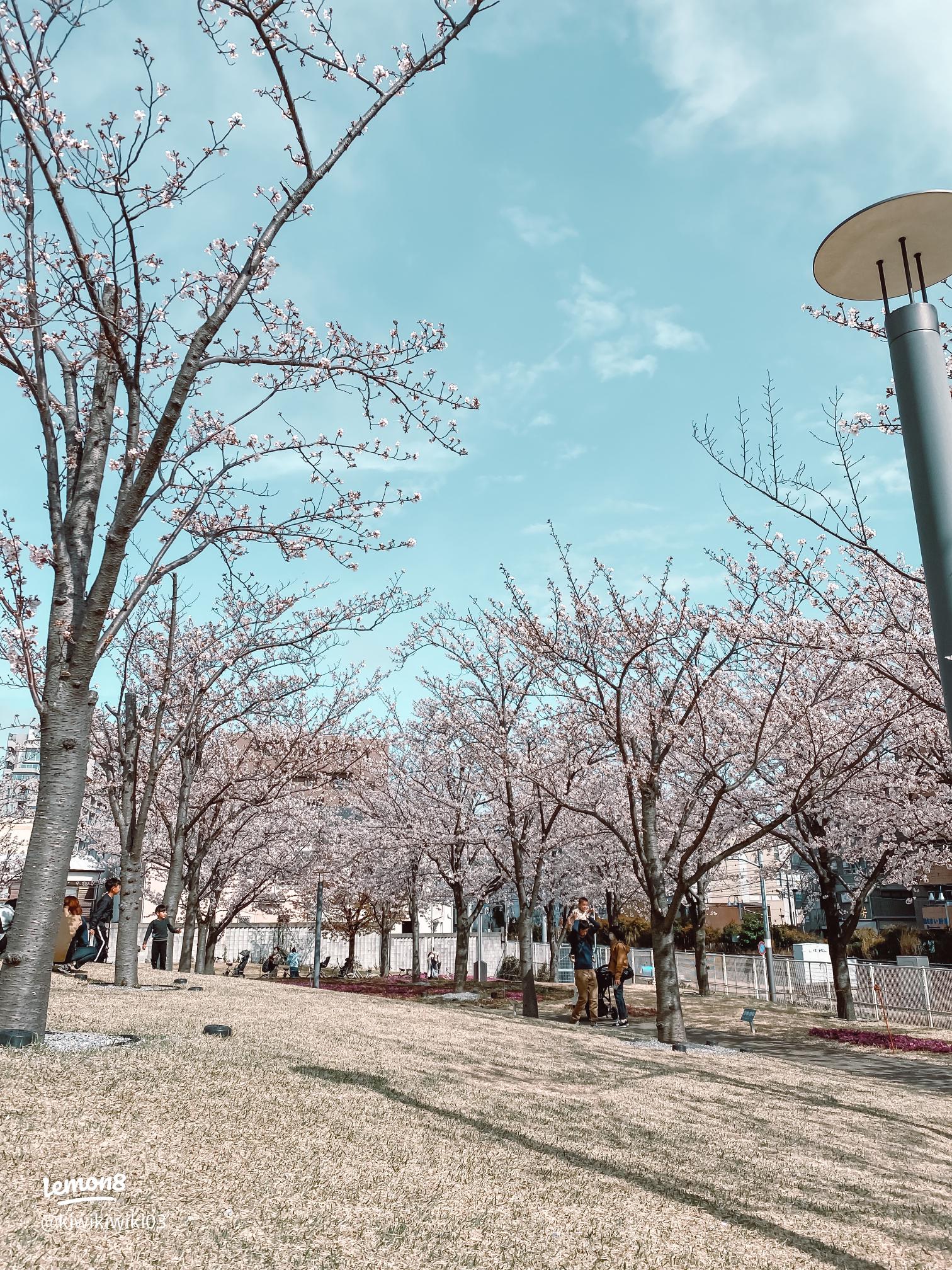 辻堂おすすめスポット株式会社大好き湘南不動産