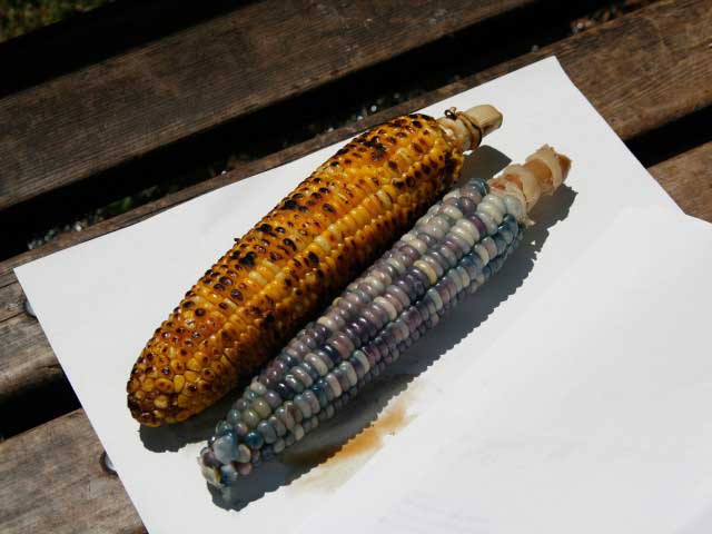 いっちゃんおいしいHBCHBC北海道放送