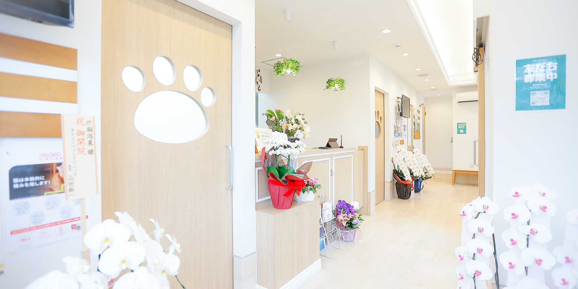 大阪・関西万博21回目②住友館 隠し部屋 攻略・予習して欲しくてネタバレ 地図ありシニア犬くーちゃんと大阪万博