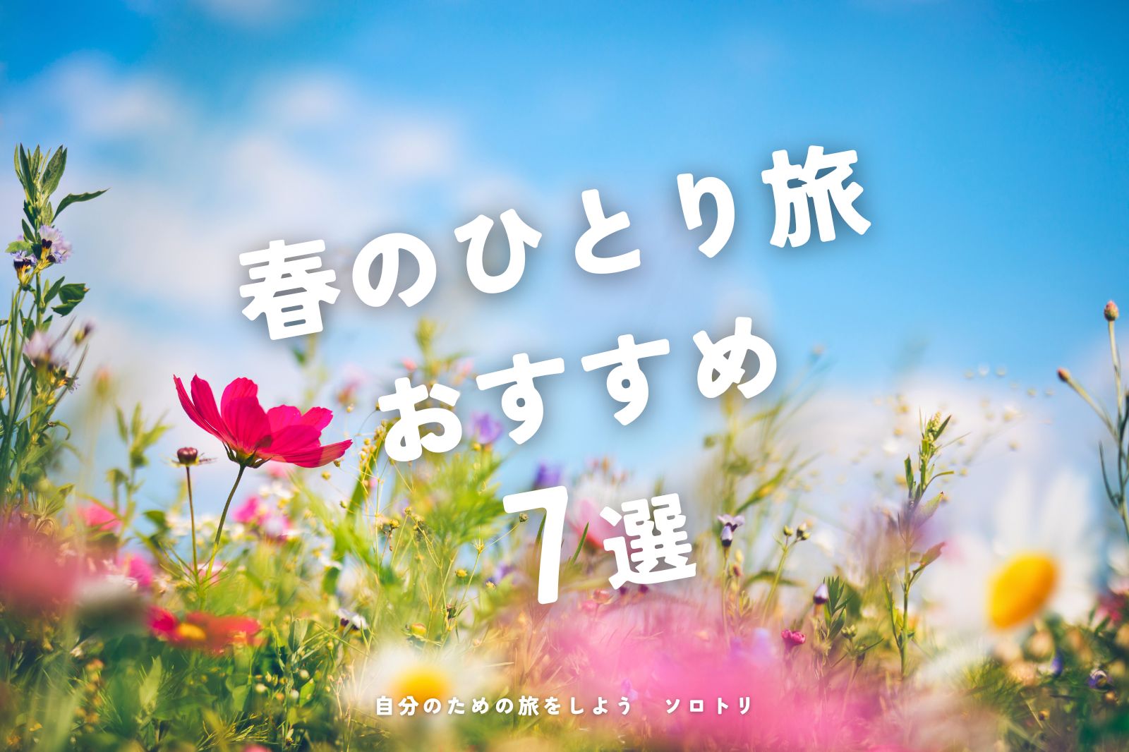 全国 3月におすすめの旅行先10選！北海道や沖縄など春に行きたいスポットまとめ じゃらんニュース