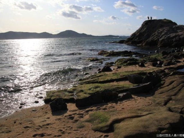 ⛰長崎の鼻で🐈ﾆｬ~!!T氏2000のブログT氏2000のページ - みんカラ