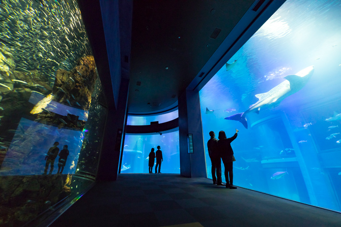 夏休みにお出かけ！関西で涼しい穴場スポットアクティビティジャパン