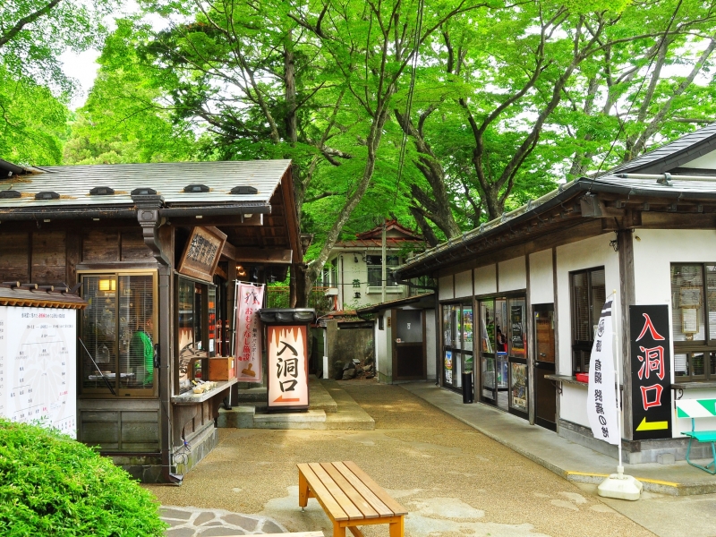空いてる穴場スポットを巡って「密」を回避！気ままな晩秋の日光一人旅～』日光 栃木県 の旅行記・ブログ by 温味楽さん