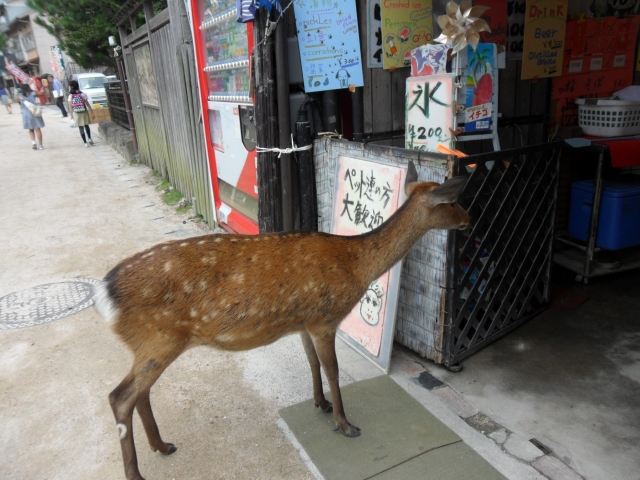 宮島表参道商店街I Love Hiroshima