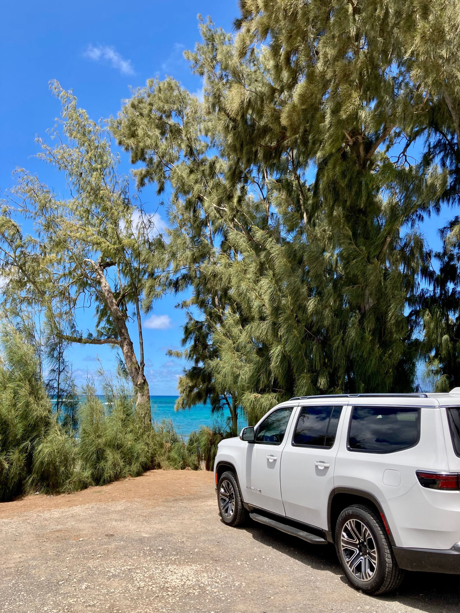 ハワイのレンタカー会社おすすめ6選を紹介！利用方法や料金も解説