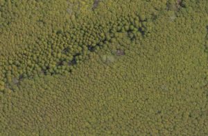 オルソ画像とは？ドローン撮影で作成するオルソ画像！最新テクノロジーをカンタン解説くみき KUMIKI シェアNo.1クラウド型ドローン