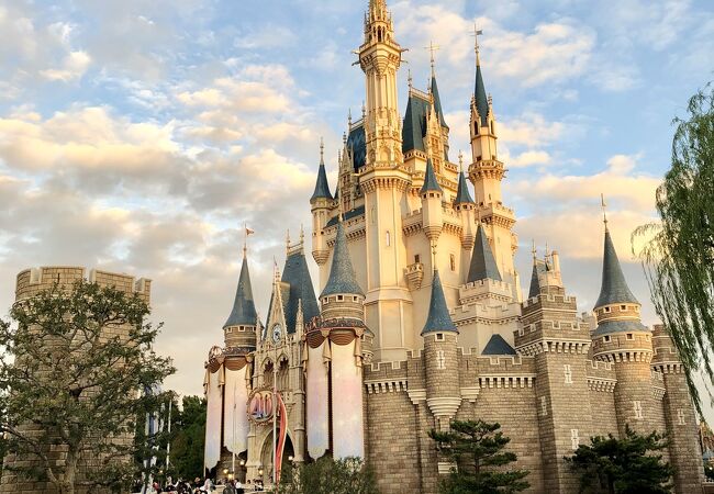 これすごいな」 夜のディズニーでシンデレラ城を撮影したら100万表示の“奇跡の1枚”に「なんて美しい」「良すぎる！」 1 2写真