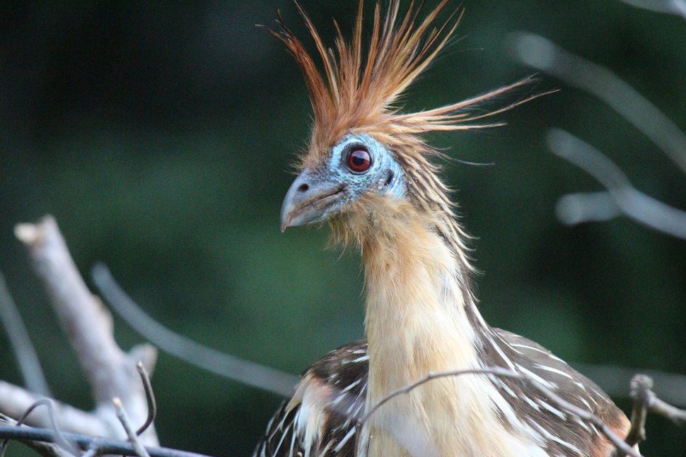 ボリビア観光のおすすめ！厳選スポット＆レストラン・宿泊施設21選VELTRA旅行ガイド