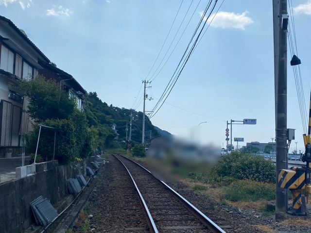 こんにちは、下灘商店です！ 下灘駅には、「観光列車伊予灘ものがたり」以外にも、1日18本の列車が停車します。基本となるシルバーの車体に水色のラインが入った7000系の車両のほか、さまざまなラッピング列車がやってきます。 中でも、ひときわ目を引くのがJR四国の