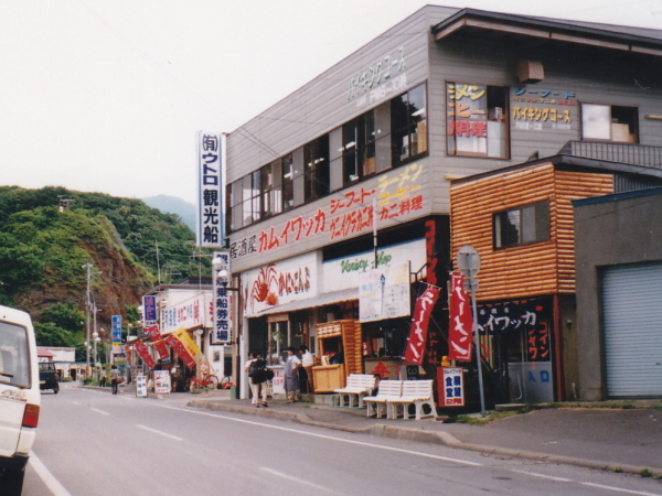 知床半島クルージング ルシャ湾のヒグマウォッチング