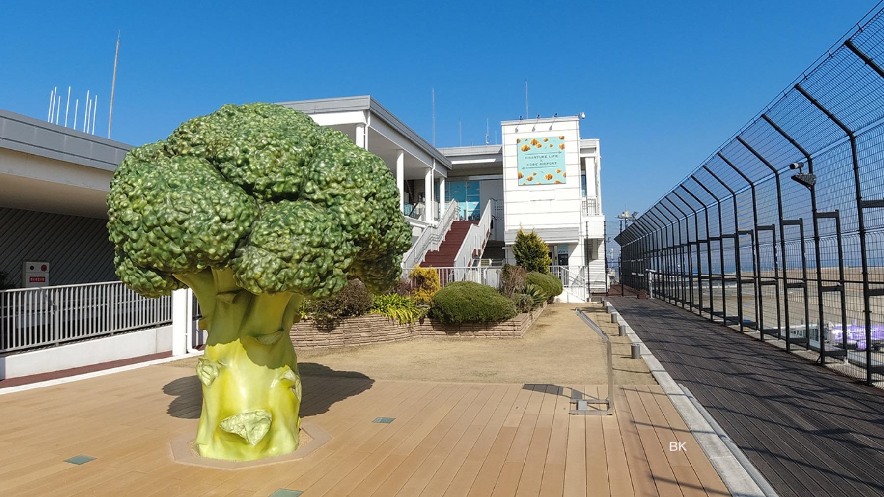神戸空港展望デッキ - 夜景ナビメインストリート