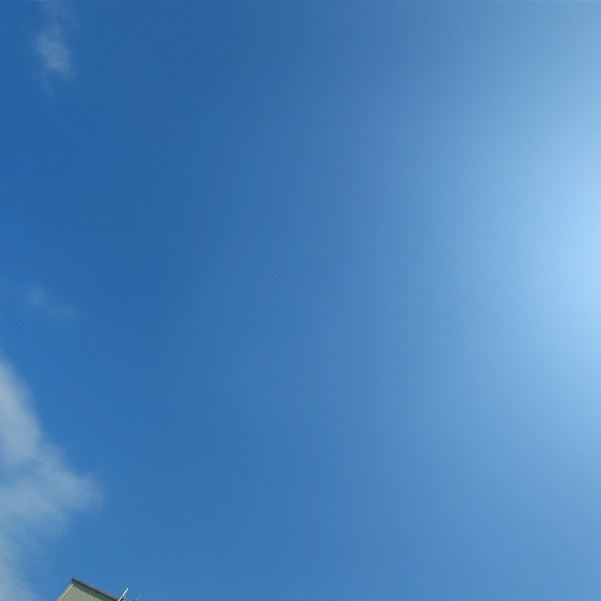 大阪万博の跡地は “カジノやサーキット場”検討だが 36年前の『横浜博』の跡地が