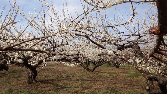 安中榛名駅周辺の観光スポットランキングTOP10 - じゃらんnet