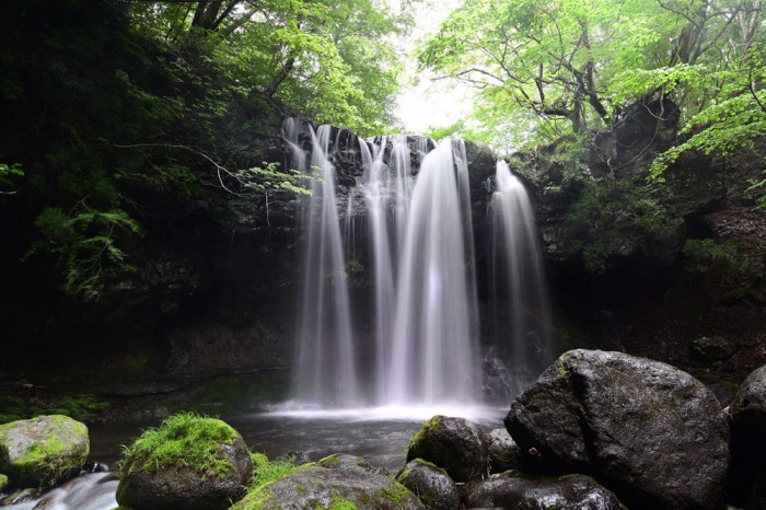 2025年4月更新 那須周辺の新しいお店・ホテル・観光スポットの情報まとめ 那須の情報発信なすポット