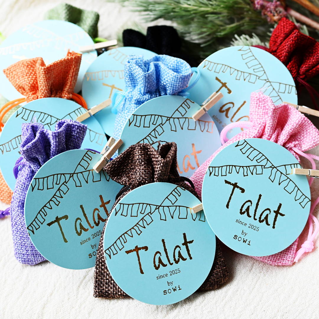 マグネウリス・シエラMLB名鑑.com