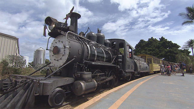 2025年 さとうきび列車 - 出発前に知っておくべきことすべて