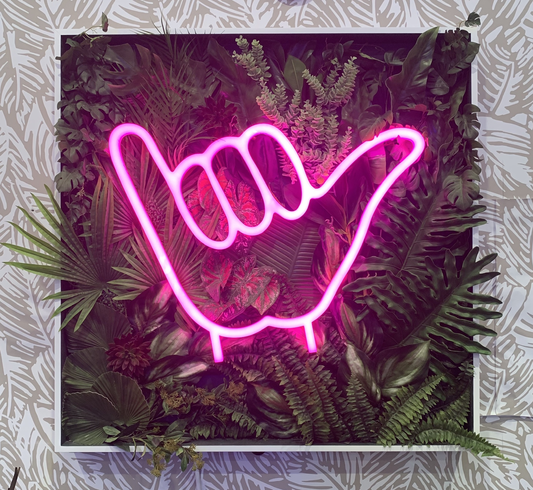 ハワイのALOHAなハンドサイン「シャカ」ハワイの最新情報をお届け！LaniLani