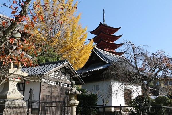 広島県 宮島 厳島神社の五重塔7821432 の写真素材 -