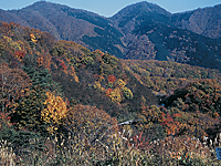 楽天トラベル:蒜山大山スカイライン たびノート