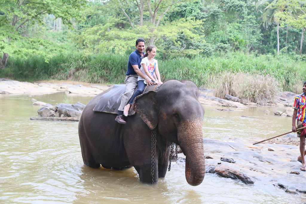 象乗り体験ツアーCeylon Sunny Holidays