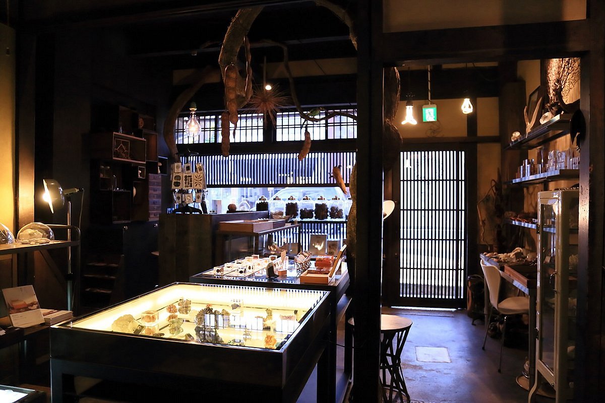 自然の造形美がスイーツに♪ 博物館みたいなカフェ「ウサギノネドコ京都店」ことりっぷ