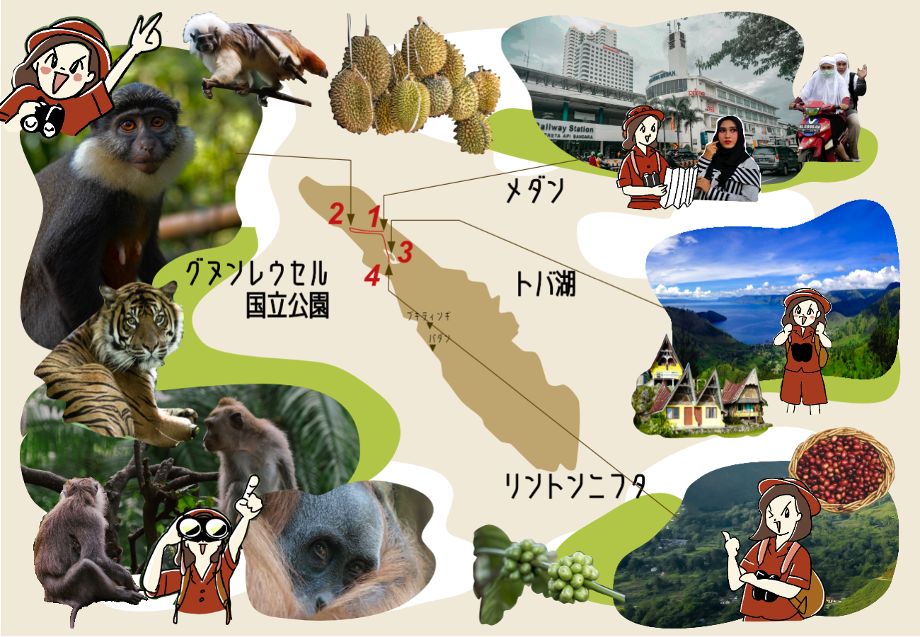 3 インドネシア・スマトラ島沖大規模地震およびインド洋津波に際しての国際緊急援助活動