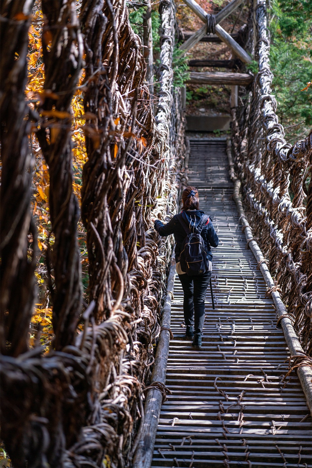 秘境の吊り橋がスリリングすぎる！祖谷のかずら橋を渡りに行こう楽天トラベル