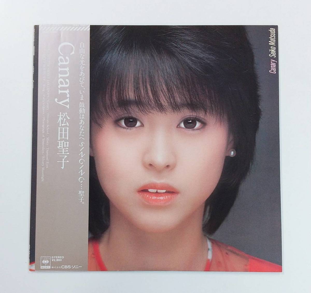 松田聖子の時間旅行: ユートピアとパフォーマンスTikTok