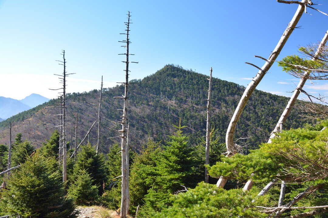 八経ヶ岳 - 旅の本棚 スタッフ
