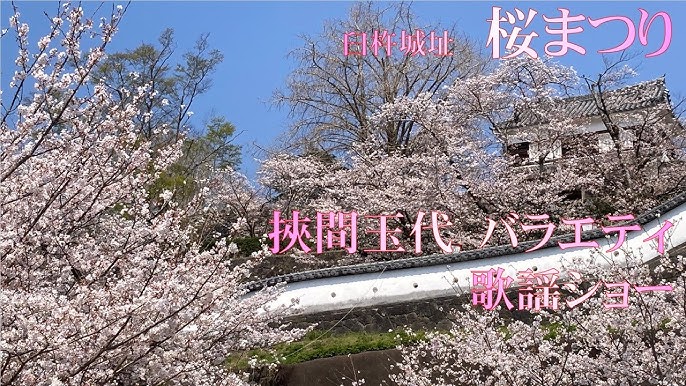 お祭臼杵観光ナビ