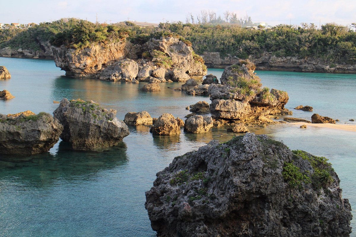砂の中からニョキっと！？コミカルなお魚たち - 沖縄体験ダイビング.com