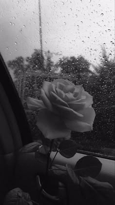 拾い画アーカイブ投稿