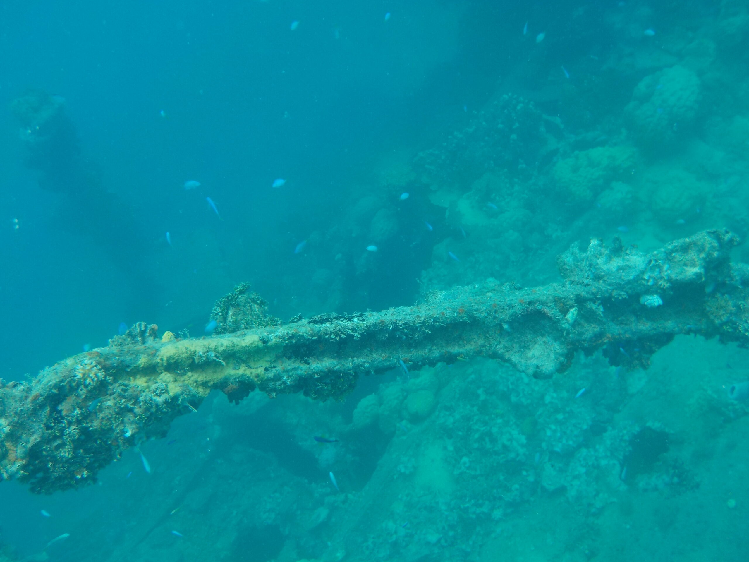 チュークのレック 沈船 ダイビングのベストシーン12選ダイビングならDiver Online