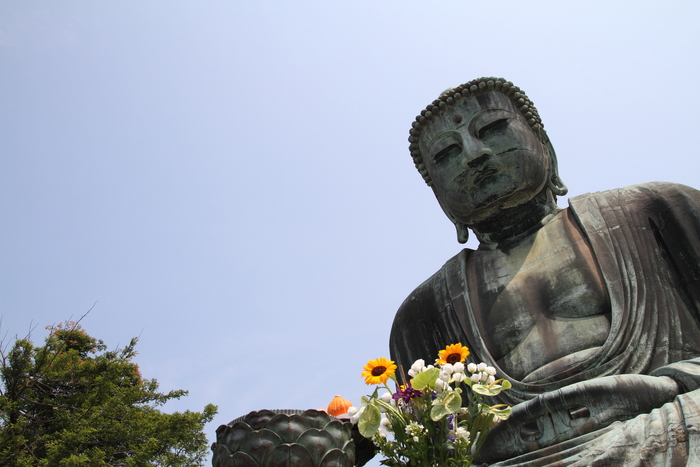 長谷駅 神奈川県鎌倉市 周辺の道路名一覧マピオン電話帳