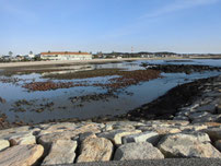 きららビーチ焼野の釣り場ポイント情報と釣果！ 釣り広場.com