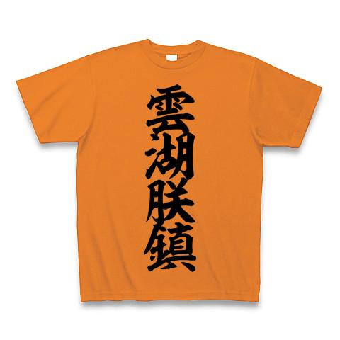 雲湖朕鎮様専用 ゲーミングPC