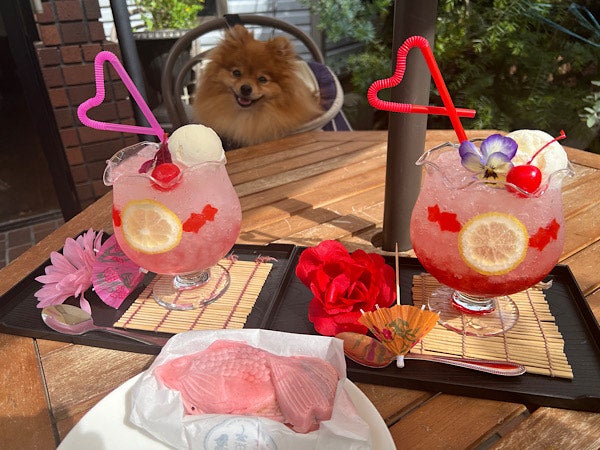 川越食べ歩き観光 時間は何時からあいてる？おすすめメニューは予約も必須！My beautiful