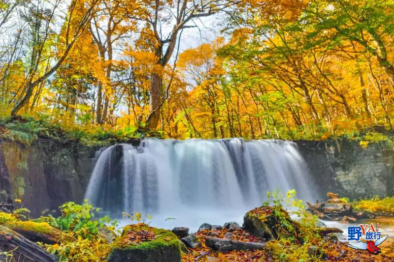城ヶ倉渓流の紅葉 青森県紅葉名所2025