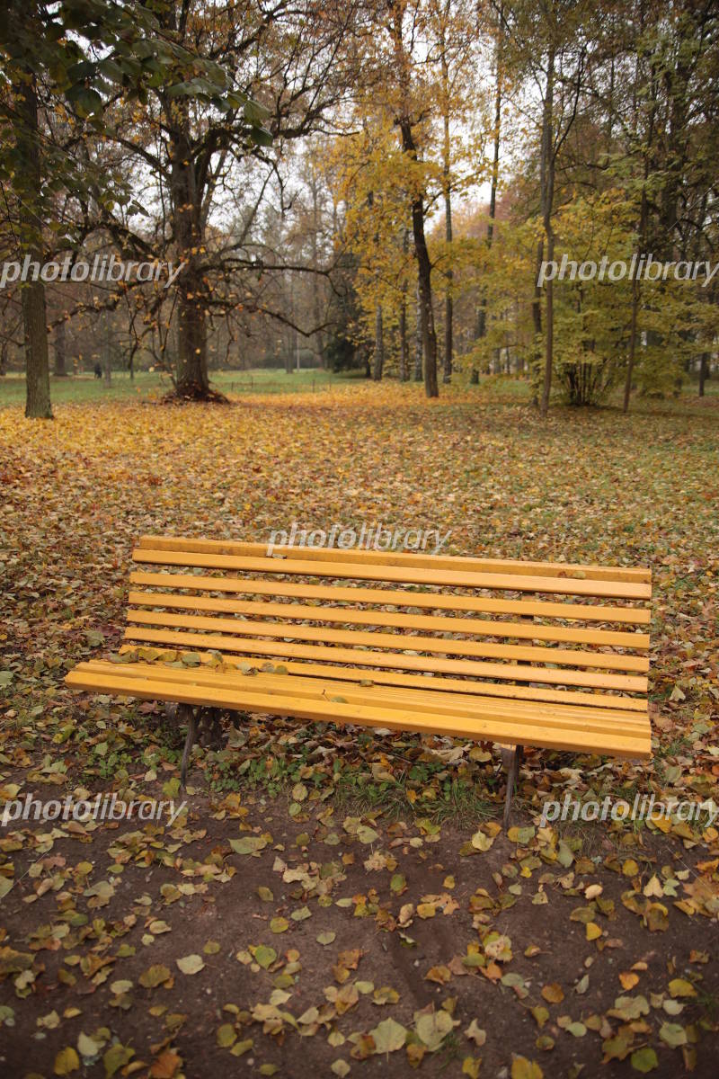 風景 公園 ベンチ