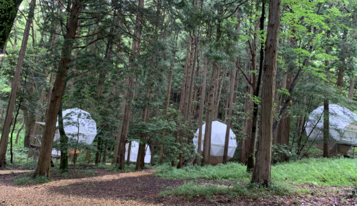 9800円で楽しむグランピングTHE FOREST