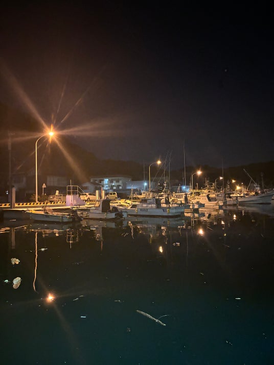 天草イルミネーション川面の美！市役所本庁裏天草観光&グルメ&レジャー情報