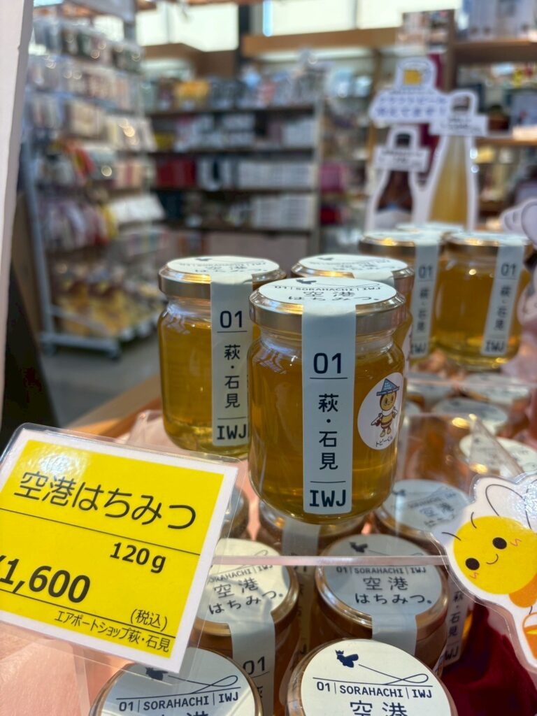 ９月２９日日曜日”益田市萩・石見空港まつりに参加します。島根のバルーンショップ”縁結びの島根県バルーン屋の独り言 あおいそらのブログ