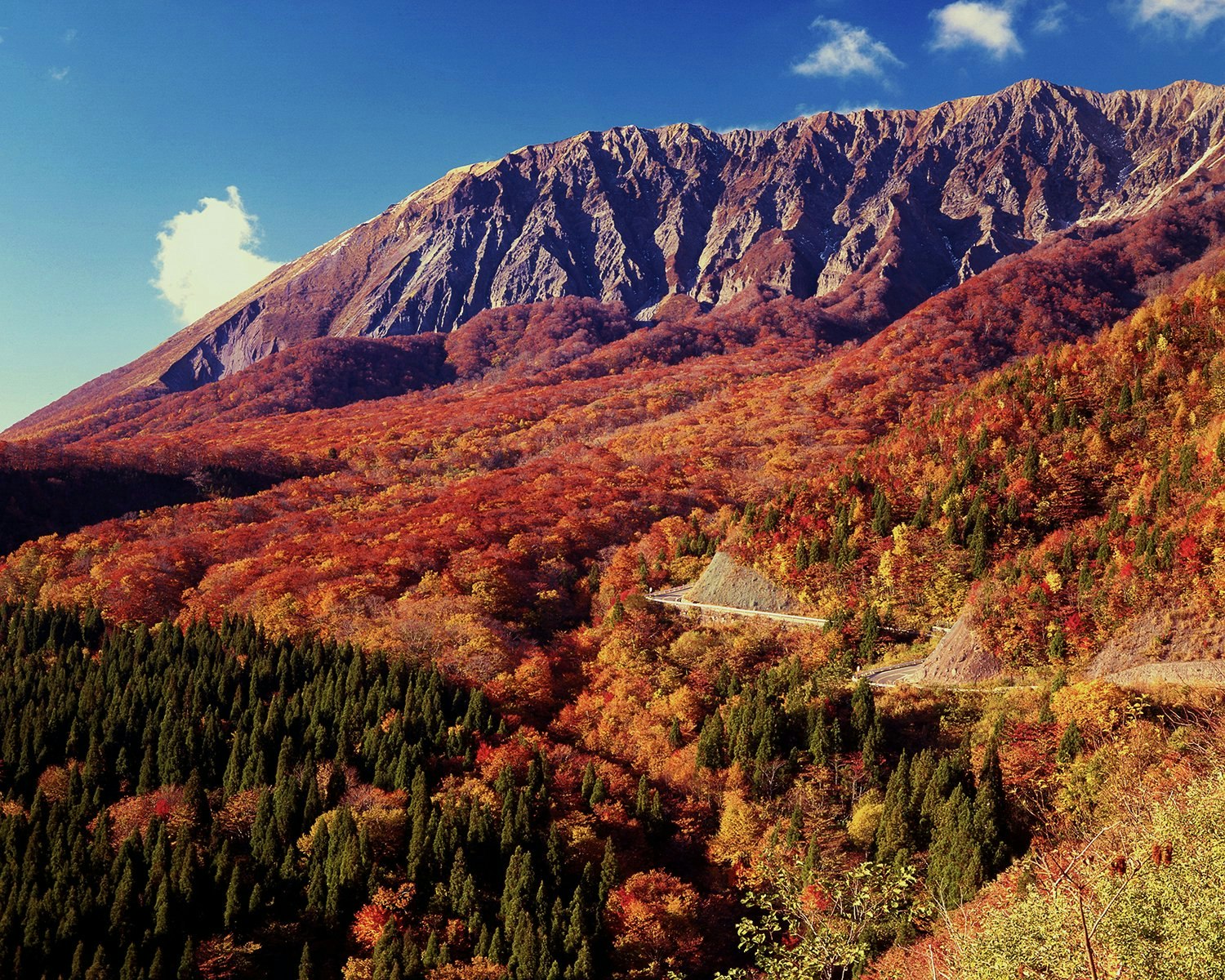 紅葉ドライブ 絶景紅葉＆味覚狩りドライブルート「蒜山高原・大山」 -